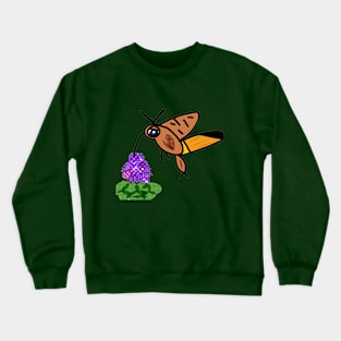 Hummingbird Crewneck Sweatshirt